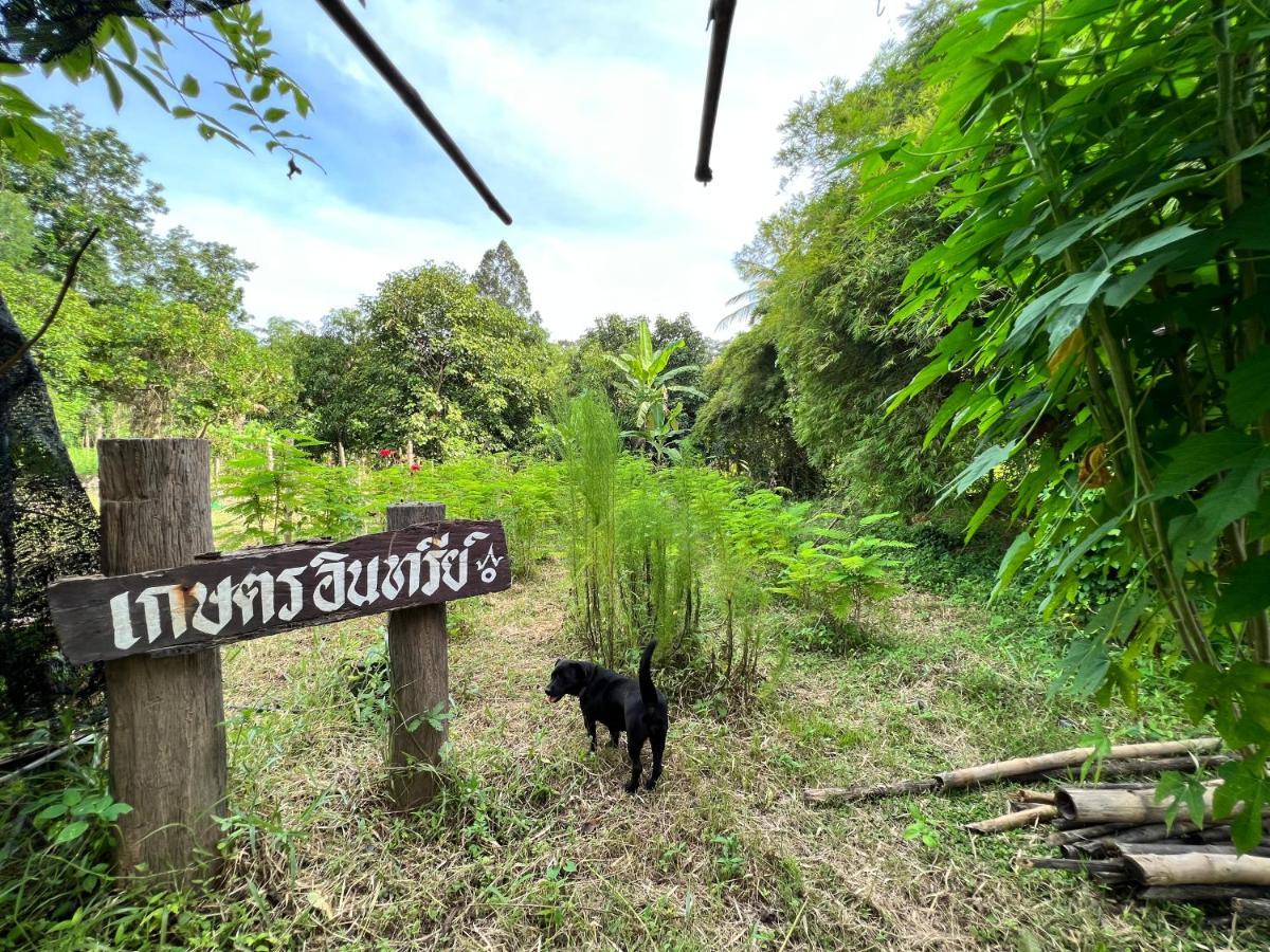 Phow Homestay Ban Mai  Exterior foto