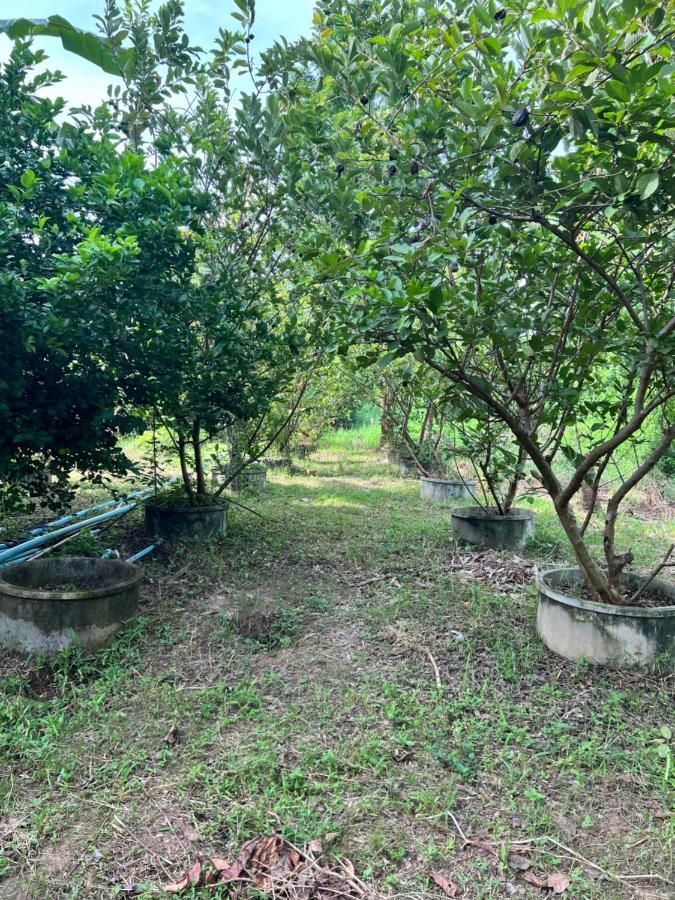 Phow Homestay Ban Mai  Exterior foto